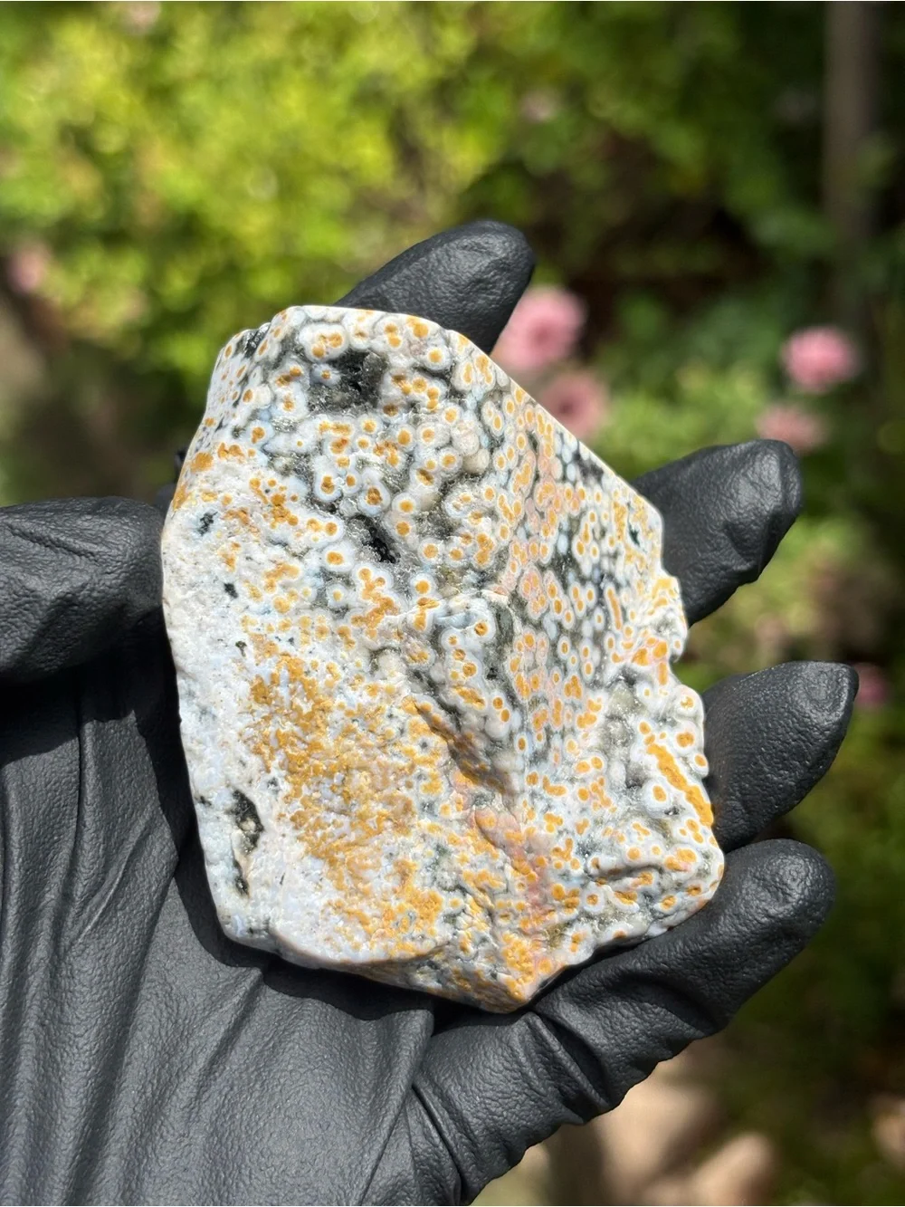 Ocean Jasper Crystal Freeform - Orbicular Jasper - Sea Jasper - Polished